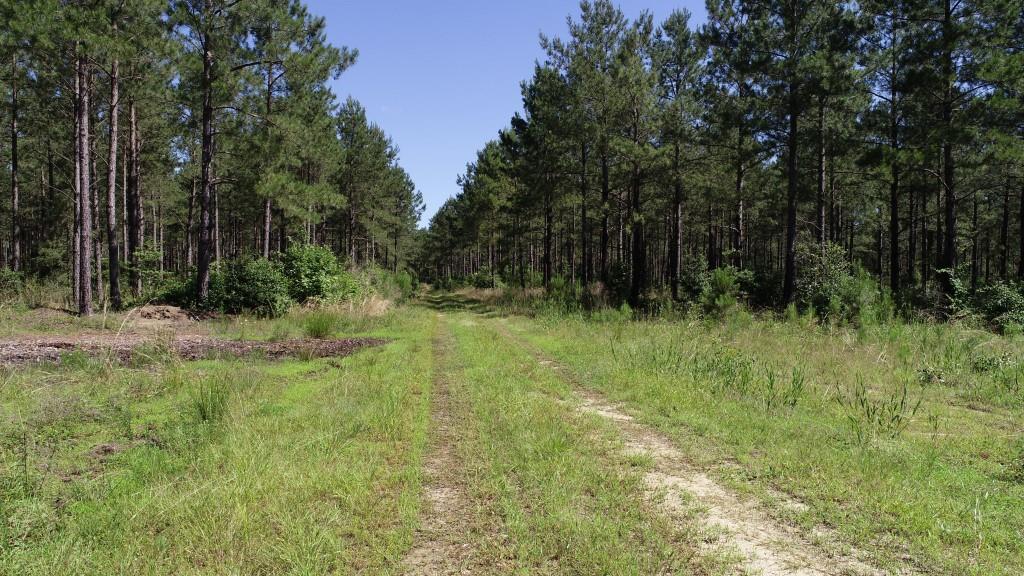 Land for sale Sussex County, VA