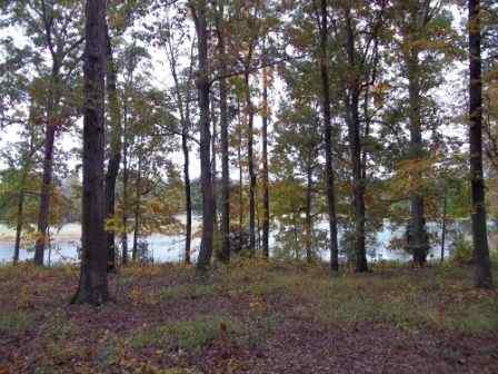 Advance Land and Timber Land for sale property_imgs/11_25.jpg