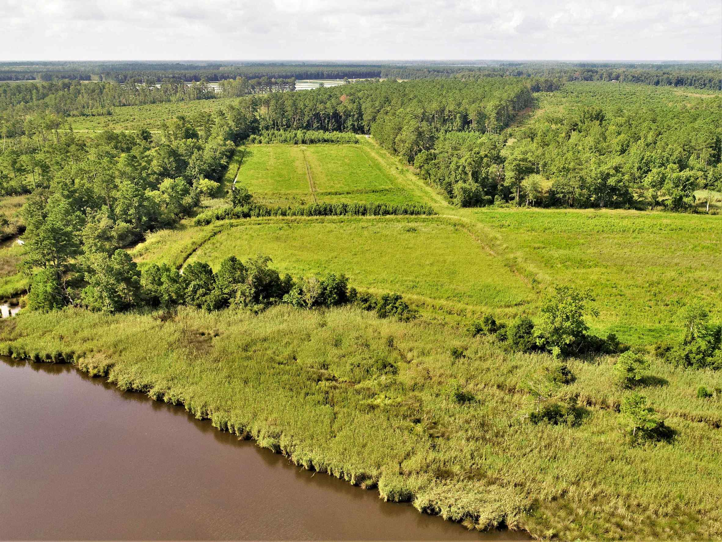 Advance Land and Timber Land for sale property_imgs/11~108.jpg