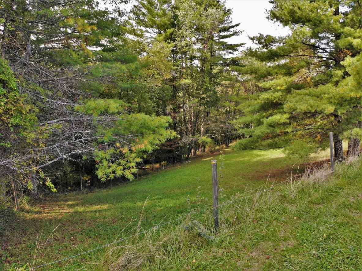 Advance Land and Timber Land for sale property_imgs/11~113.jpg