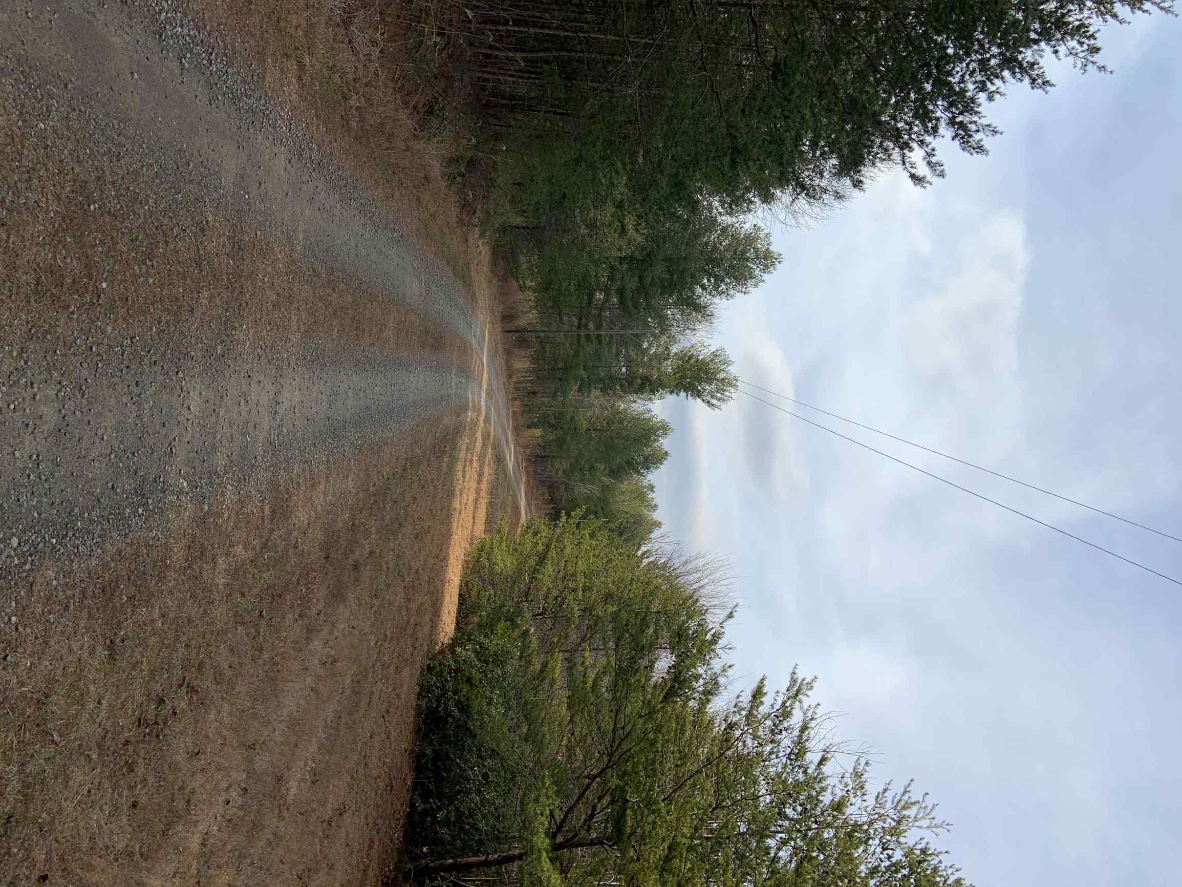 Advance Land and Timber Land for sale property_imgs/11~52.jpg
