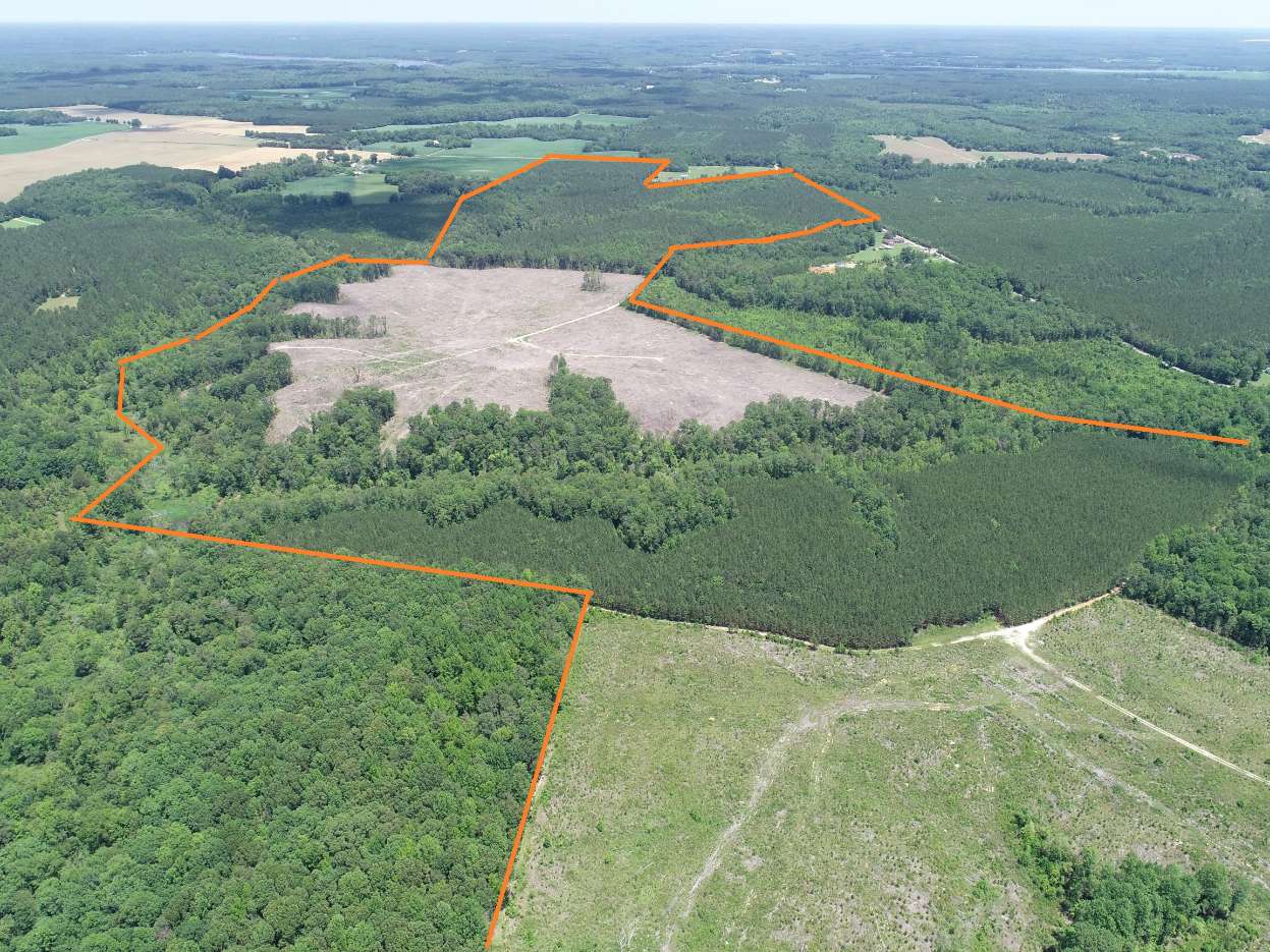 Advance Land and Timber Land for sale property_imgs/11~60.jpg