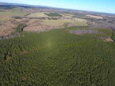 Advance Land and Timber Land for sale property_imgs/1211.jpg