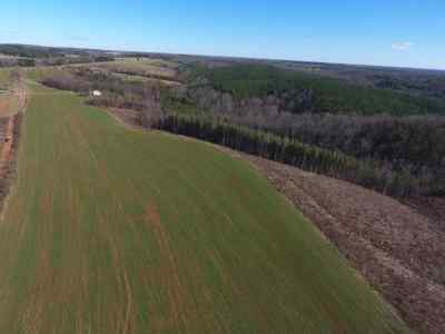 Advance Land and Timber Land for sale property_imgs/121~0.jpg