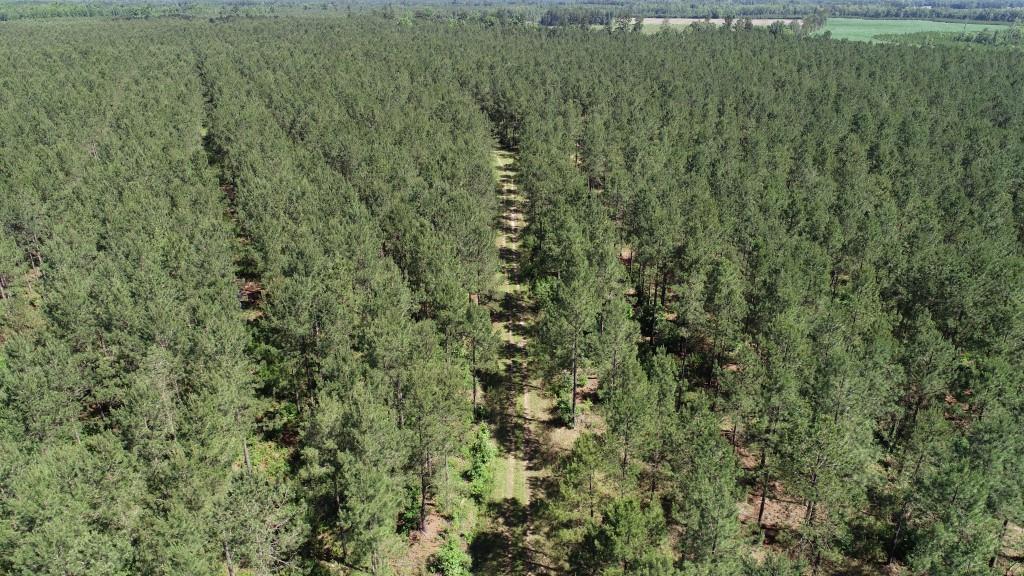 Land for sale Sussex County, VA