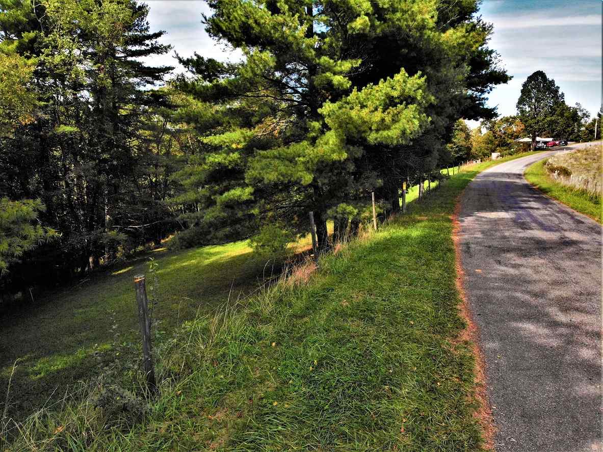 Advance Land and Timber Land for sale property_imgs/12~102.jpg