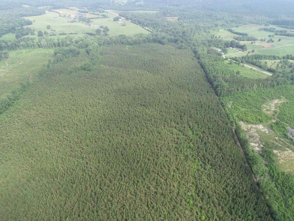 Advance Land and Timber Land for sale property_imgs/12~142.jpg