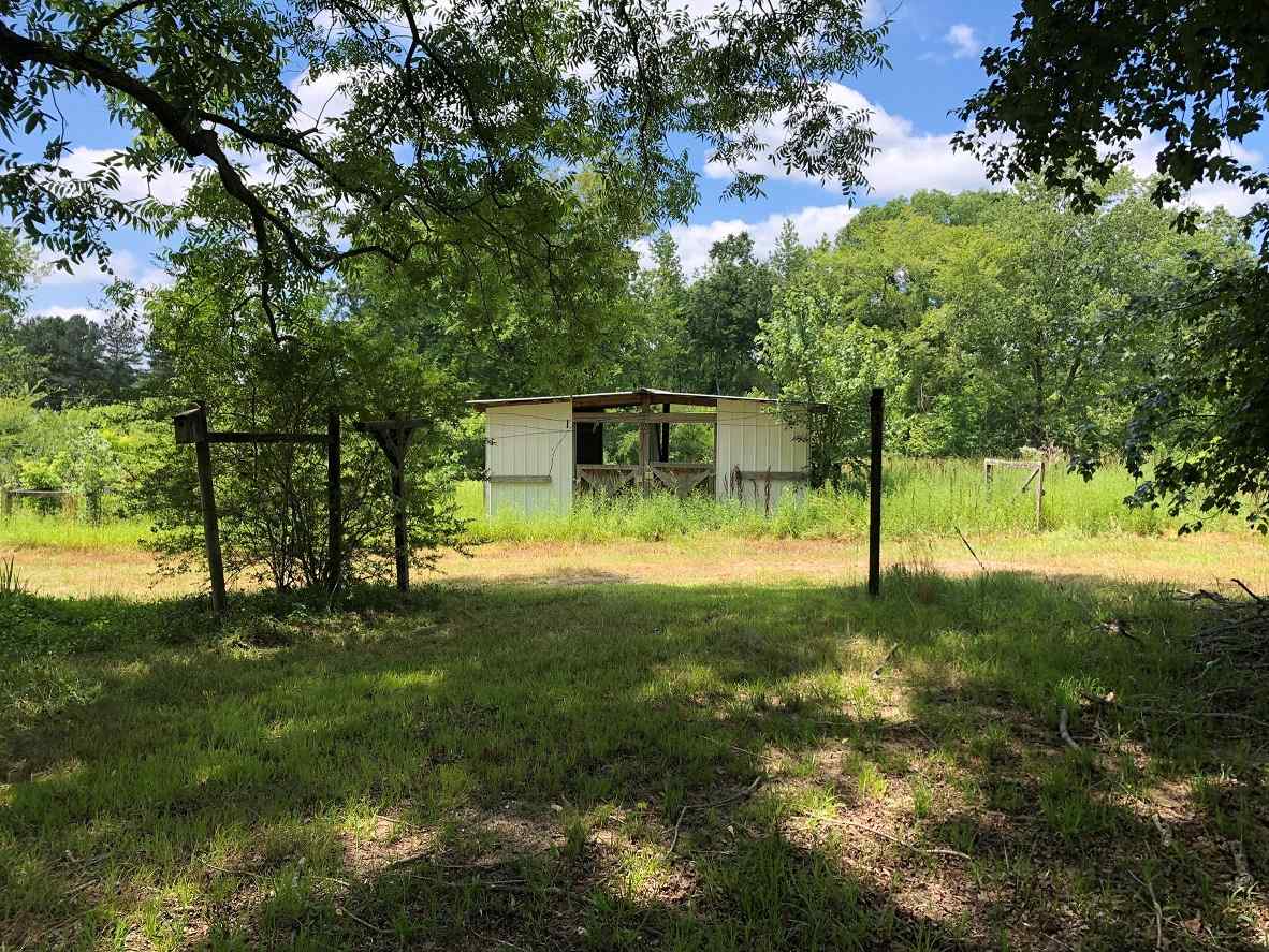 Advance Land and Timber Land for sale property_imgs/12~148.jpg