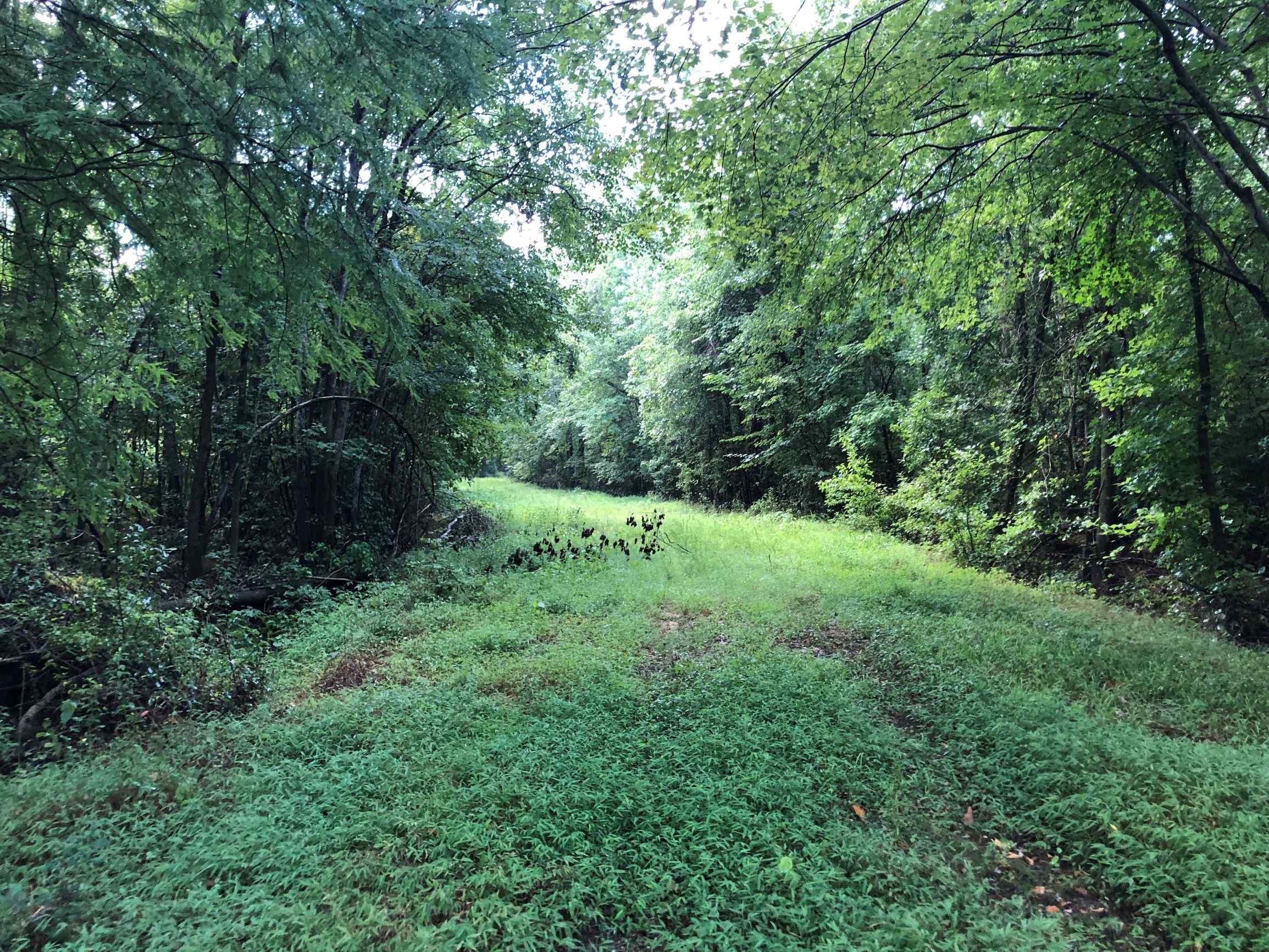 Advance Land and Timber Land for sale property_imgs/12~24.jpg
