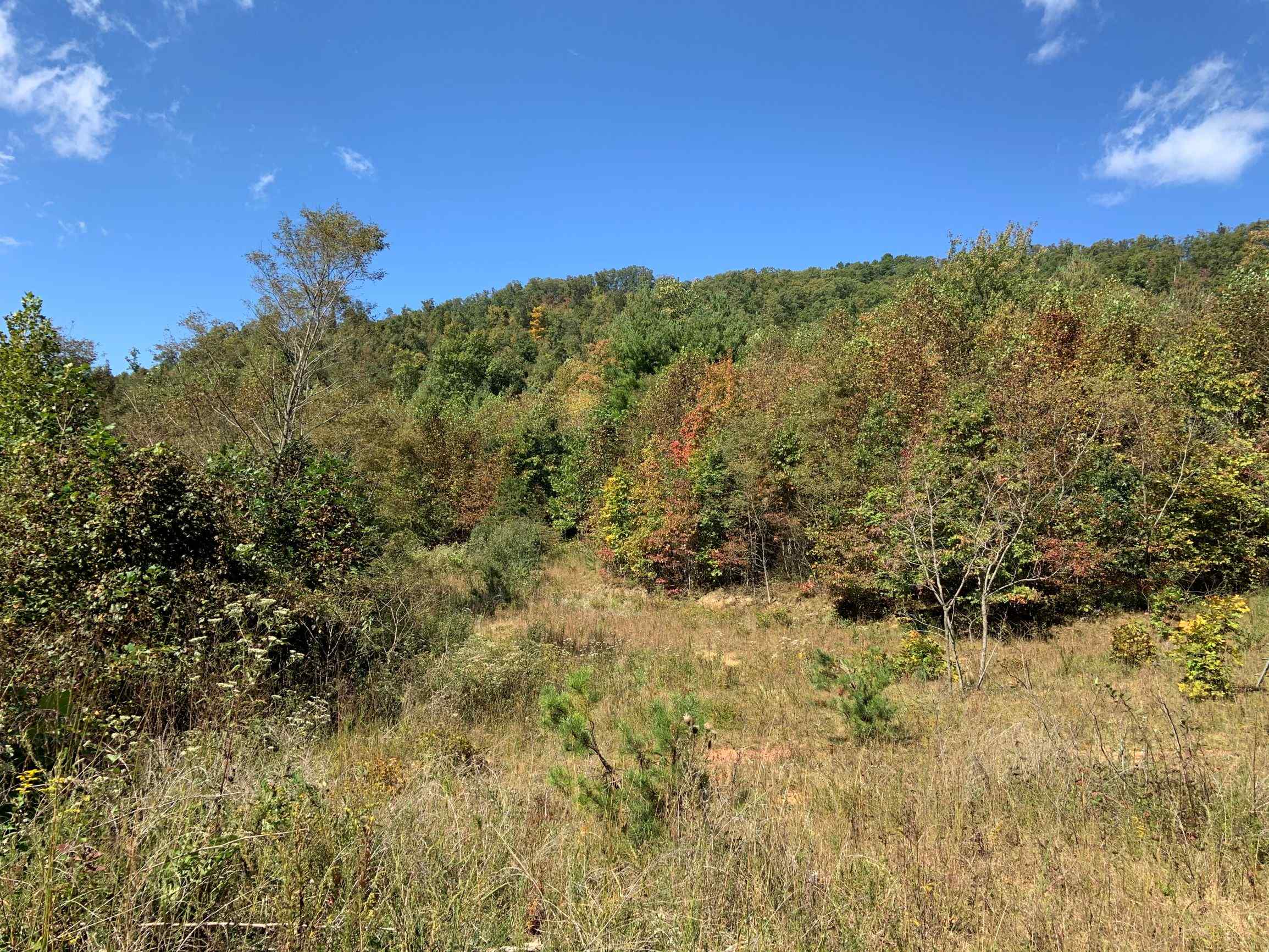 Advance Land and Timber Land for sale property_imgs/12~68.jpg