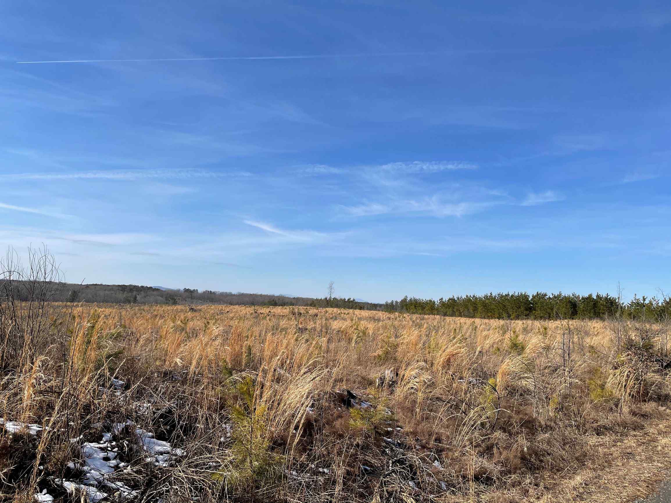 Advance Land and Timber Land for sale property_imgs/12~74.jpg