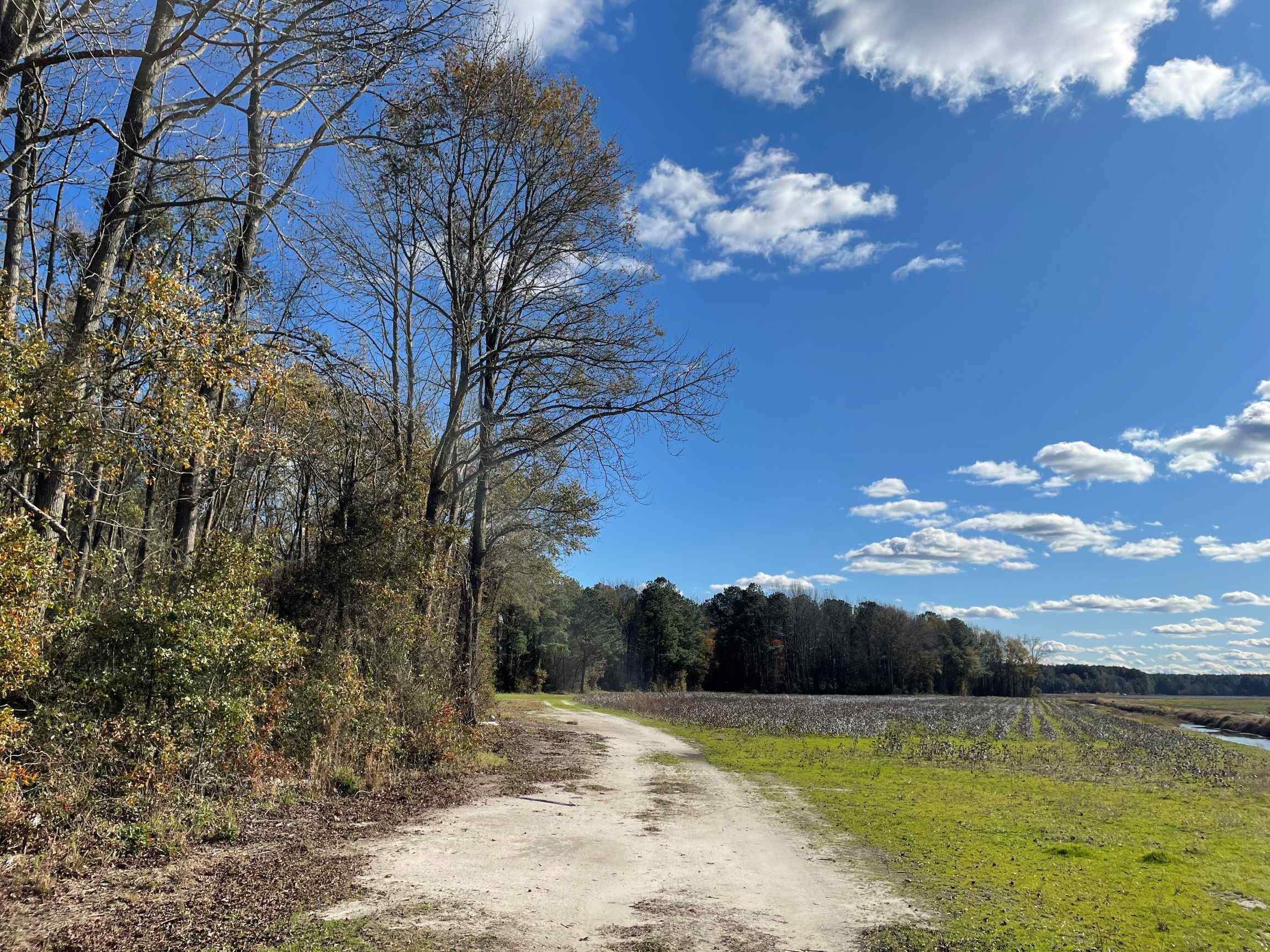 230 acre Spring Hill Farm is located 3 miles east of Tarboro, NC on State Rt 111. Land for sale