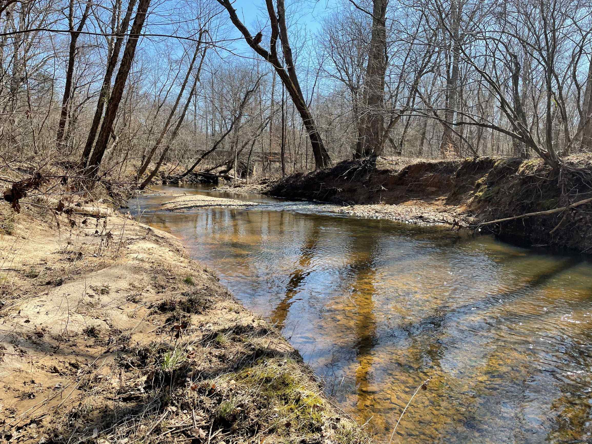 Advance Land and Timber Land for sale property_imgs/12~90.jpg