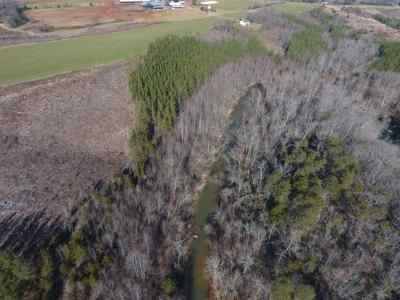 Advance Land and Timber Land for sale property_imgs/133~0.jpg