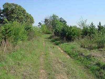 Advance Land and Timber Land for sale property_imgs/13_3.jpg