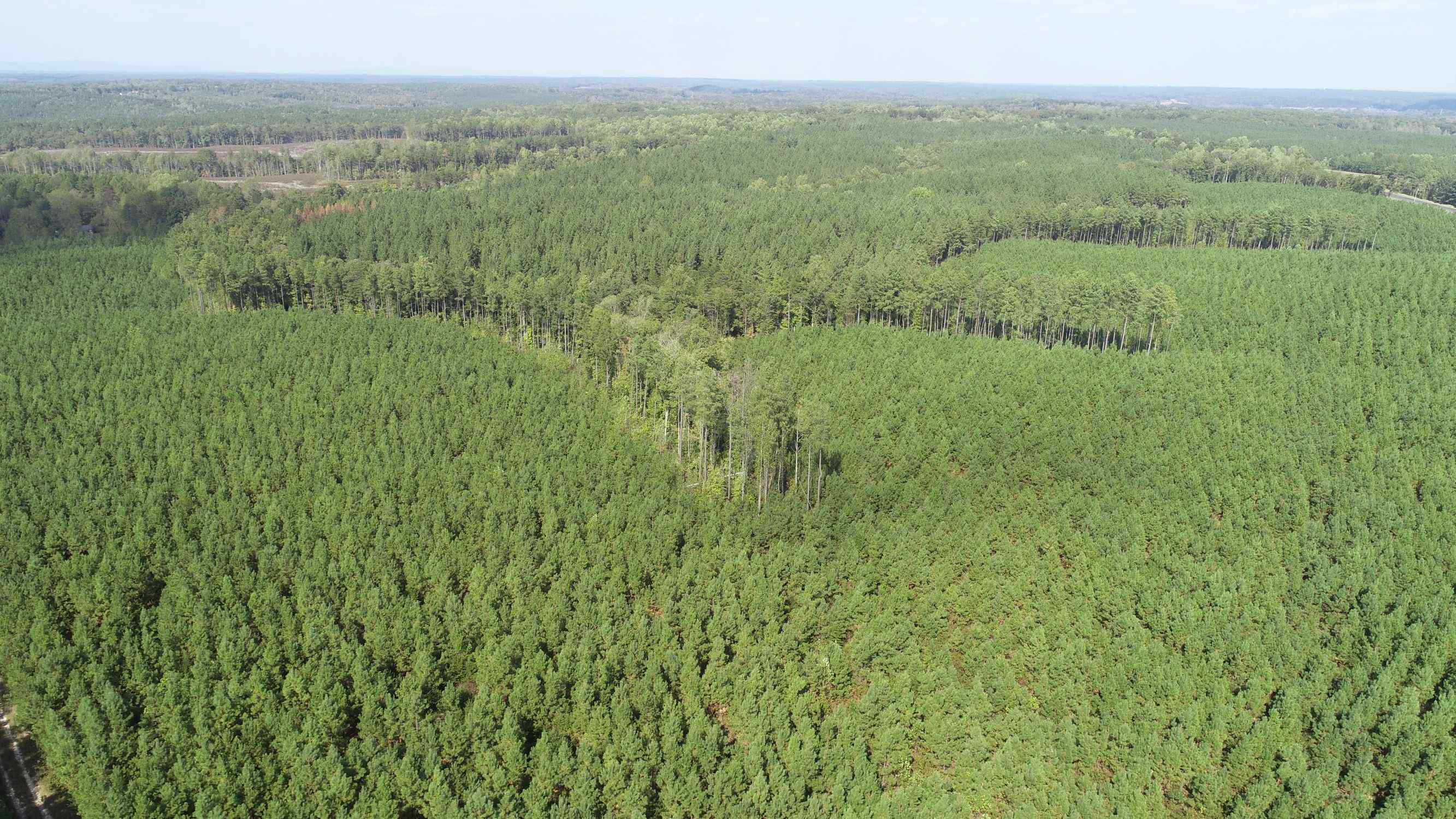 Advance Land and Timber Land for sale property_imgs/13~36.jpg