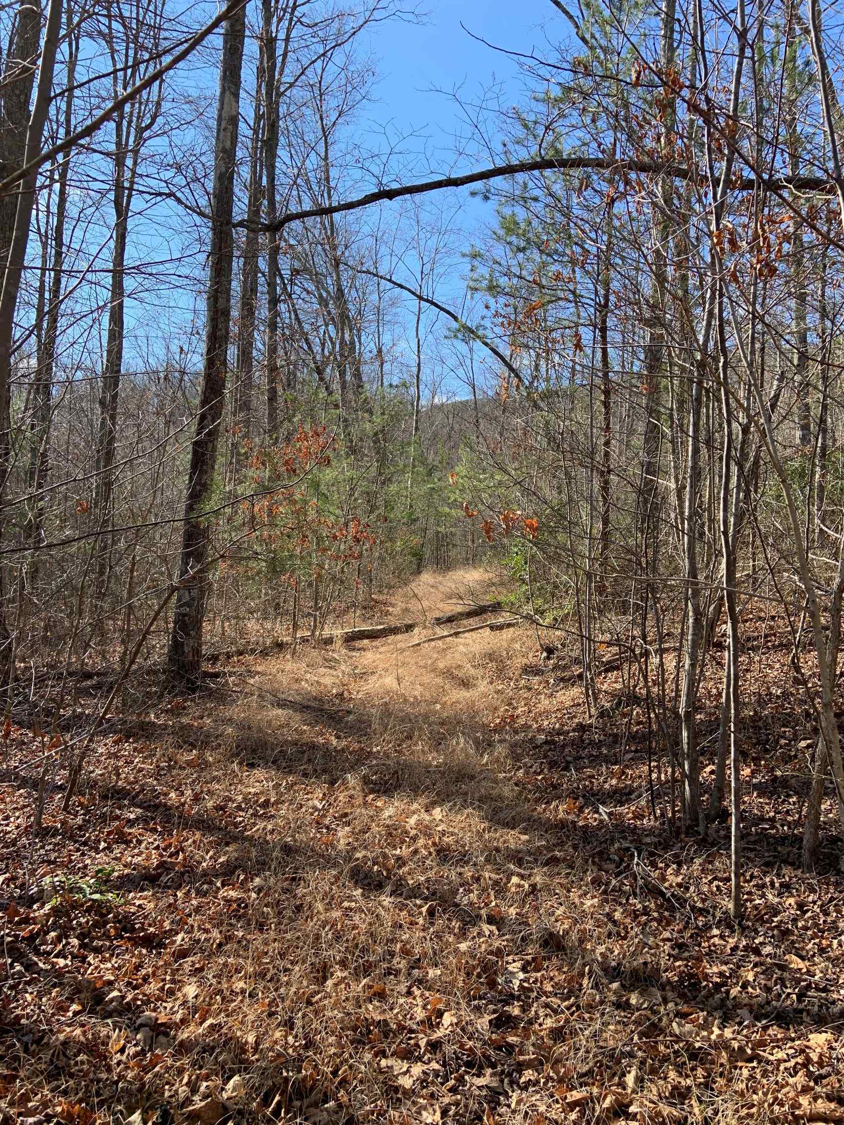 Advance Land and Timber Land for sale property_imgs/13~40.jpg