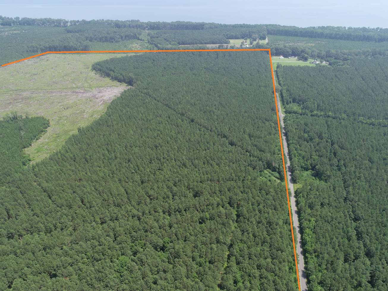 Advance Land and Timber Land for sale property_imgs/13~52.jpg