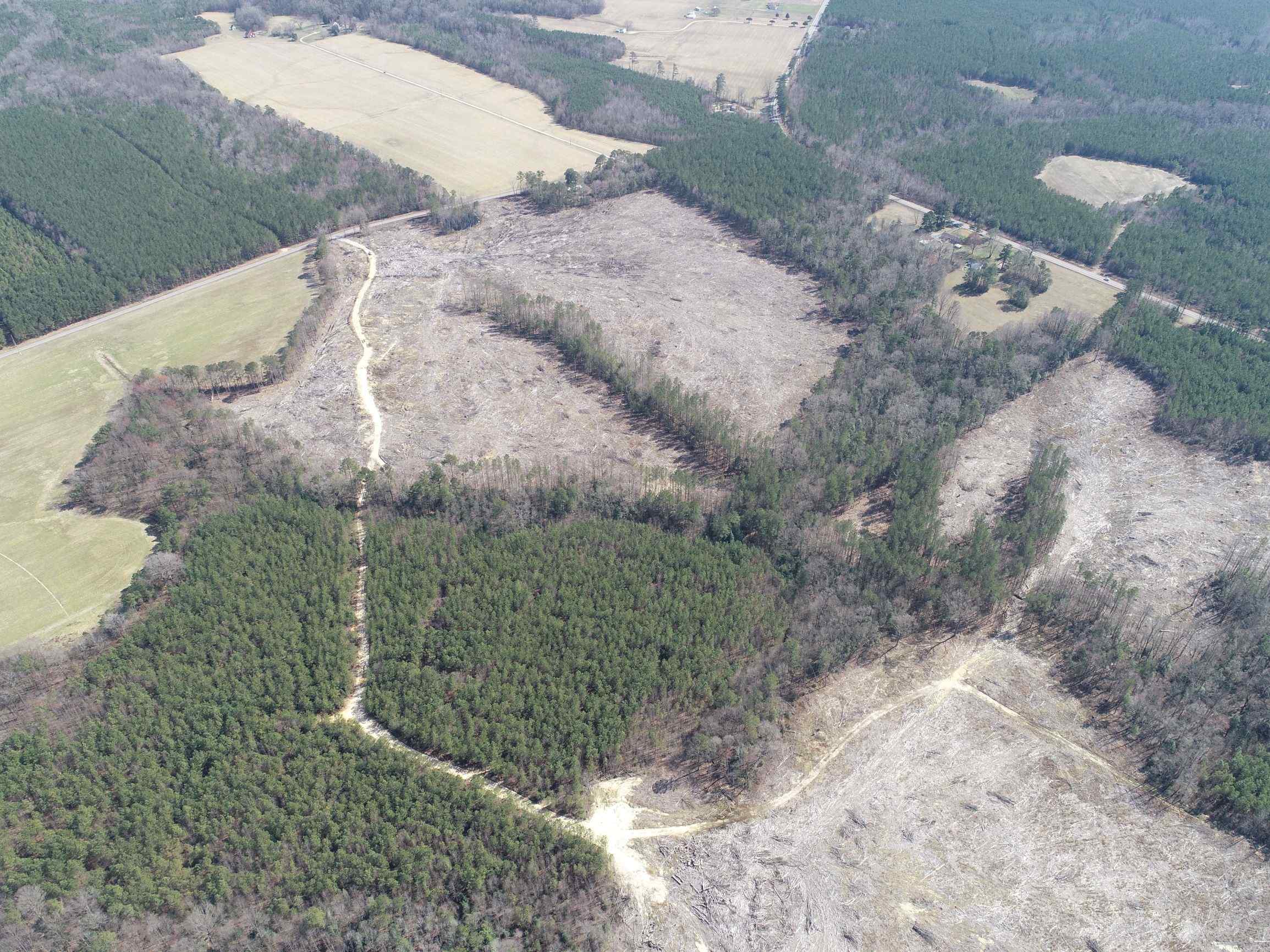 Advance Land and Timber Land for sale property_imgs/13~78.jpg