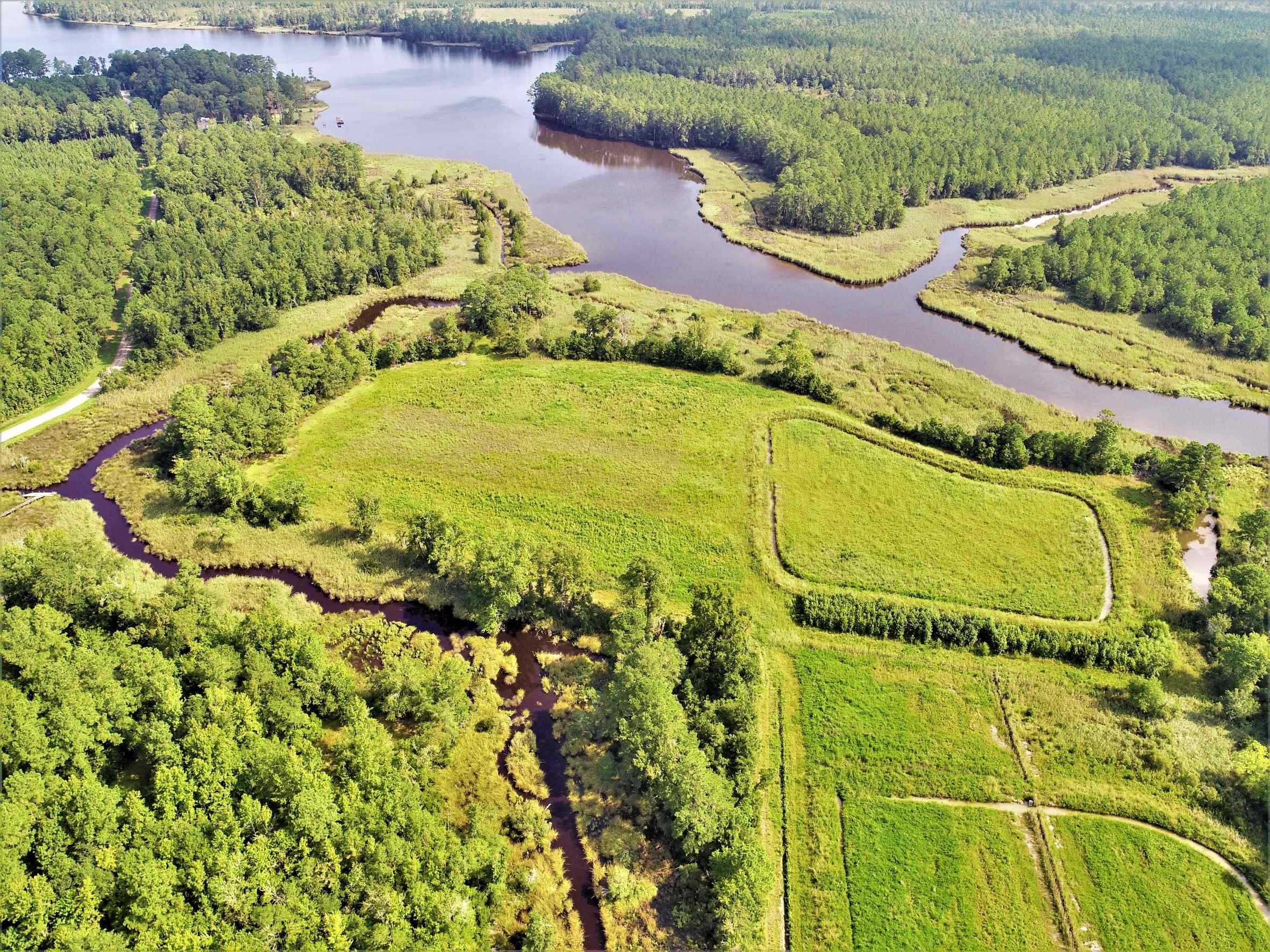 Advance Land and Timber Land for sale property_imgs/13~88.jpg
