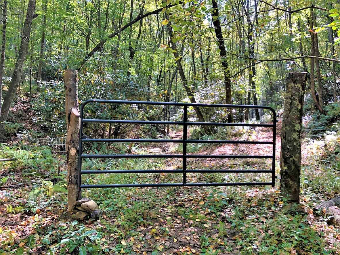 Advance Land and Timber Land for sale property_imgs/13~93.jpg