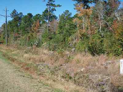 Advance Land and Timber Land for sale property_imgs/145_3.jpg