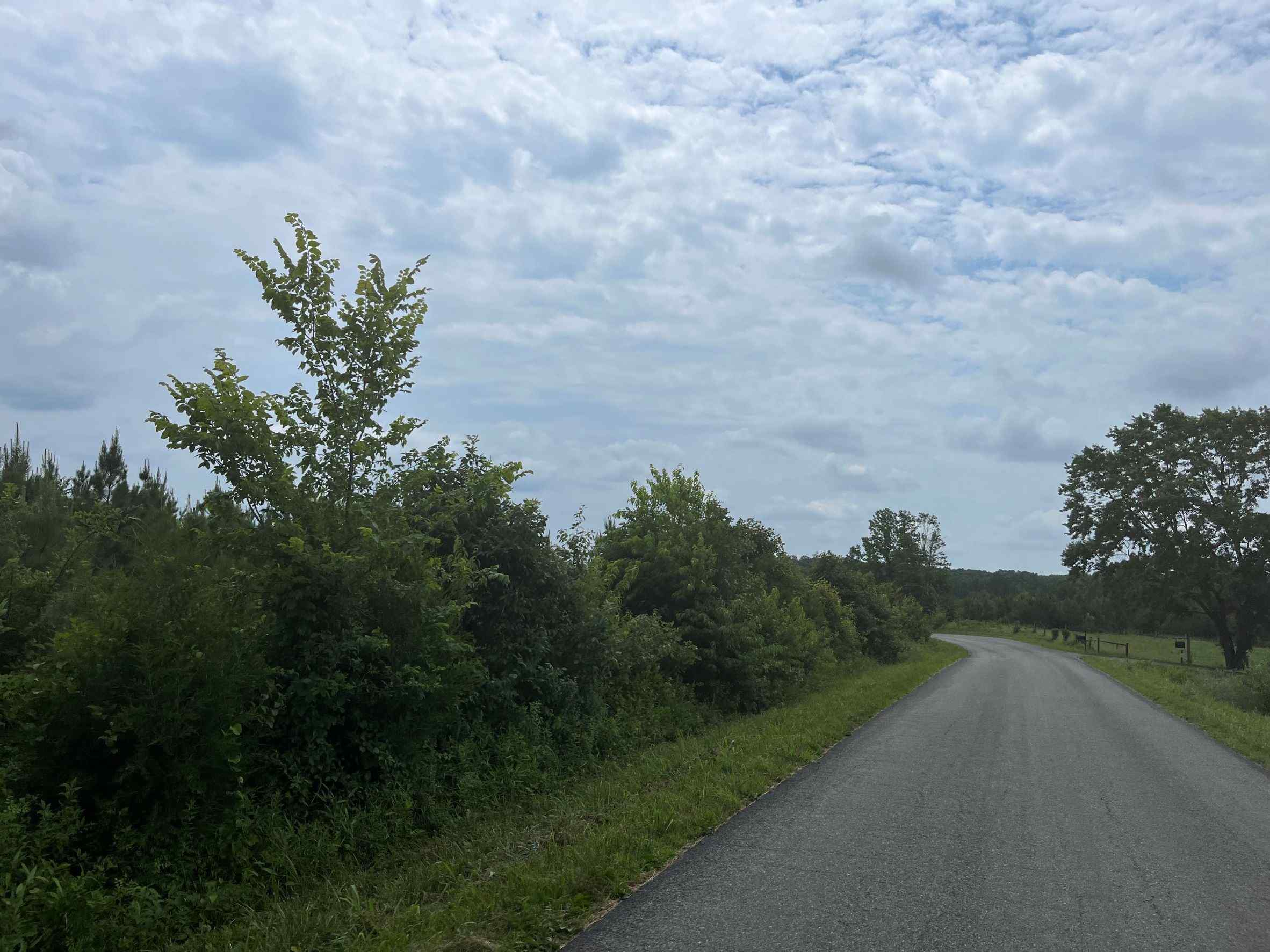 Advance Land and Timber Land for sale property_imgs/14~116.jpg