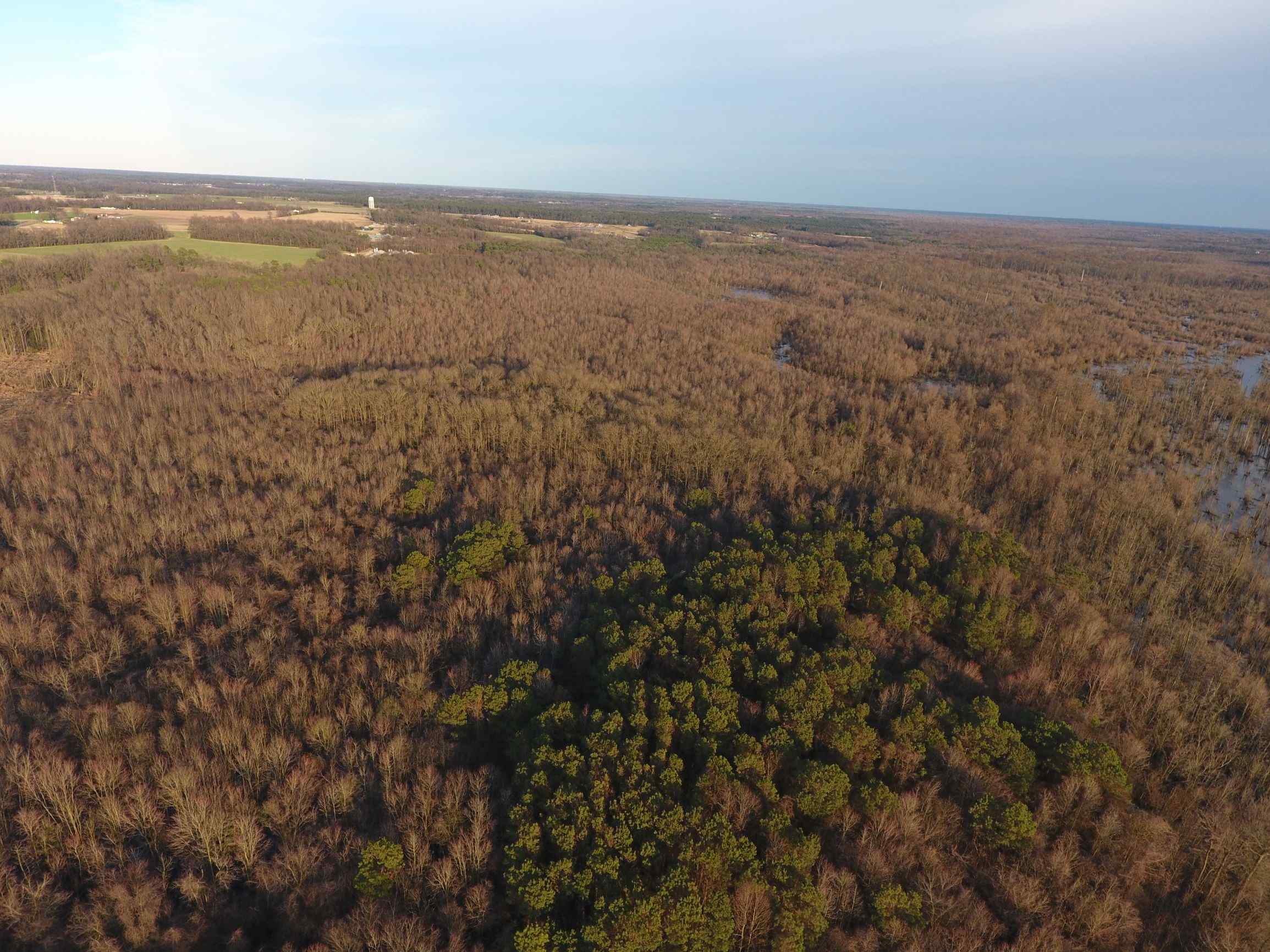Advance Land and Timber Land for sale property_imgs/14~18.jpg