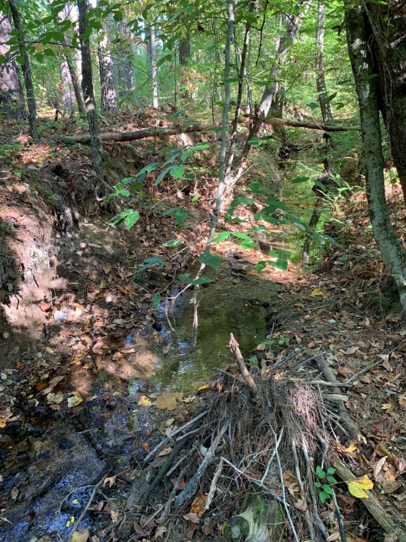 Advance Land and Timber Land for sale property_imgs/14~26.jpg