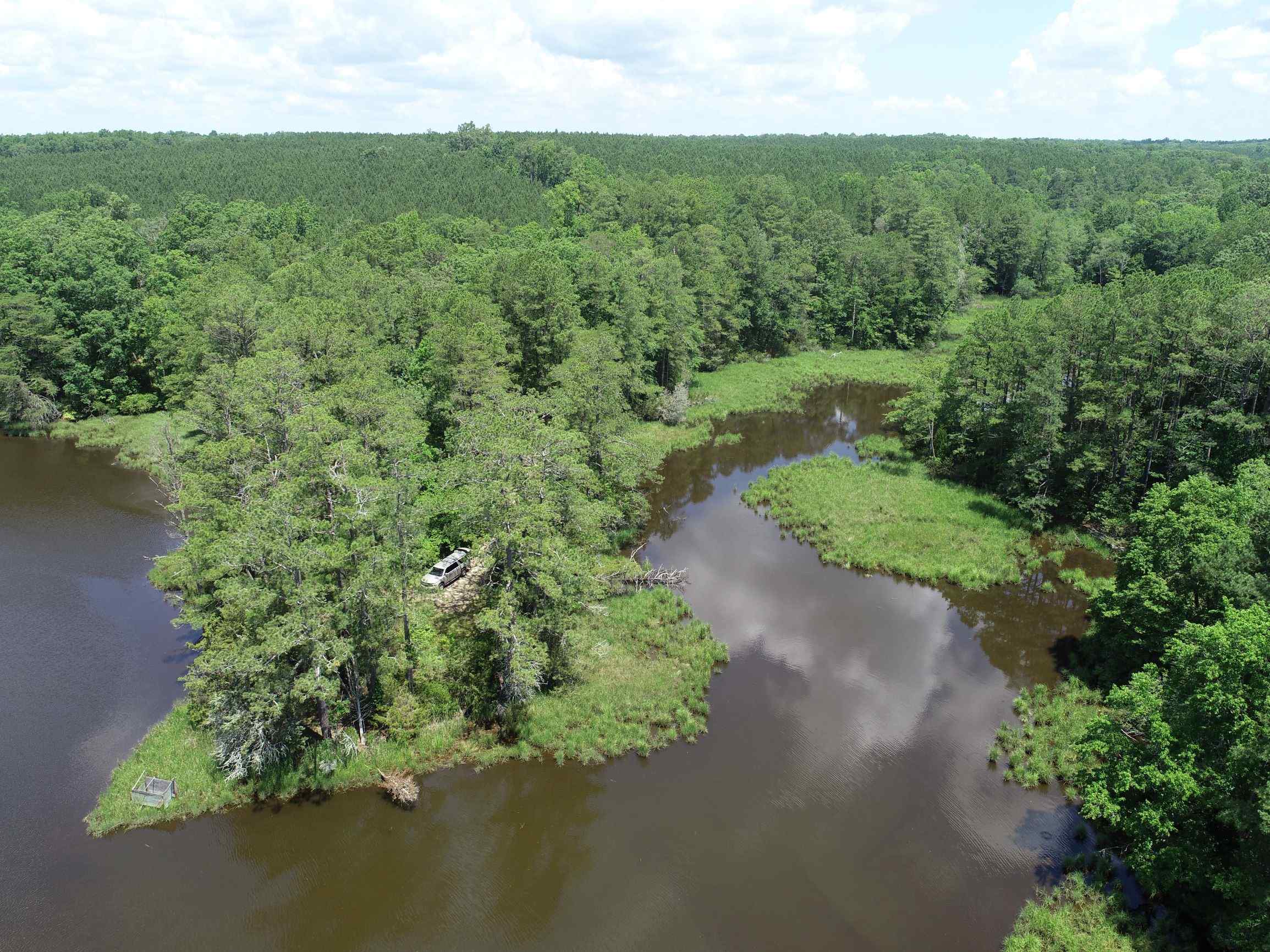 Advance Land and Timber Land for sale property_imgs/14~47.jpg