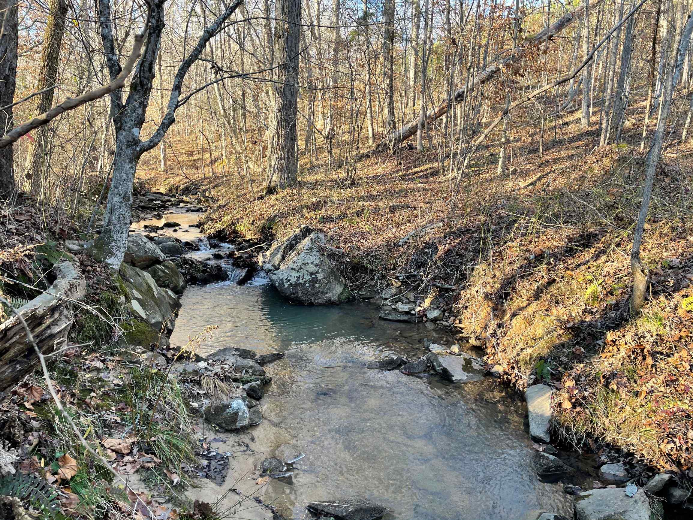 Advance Land and Timber Land for sale property_imgs/14~57.jpg