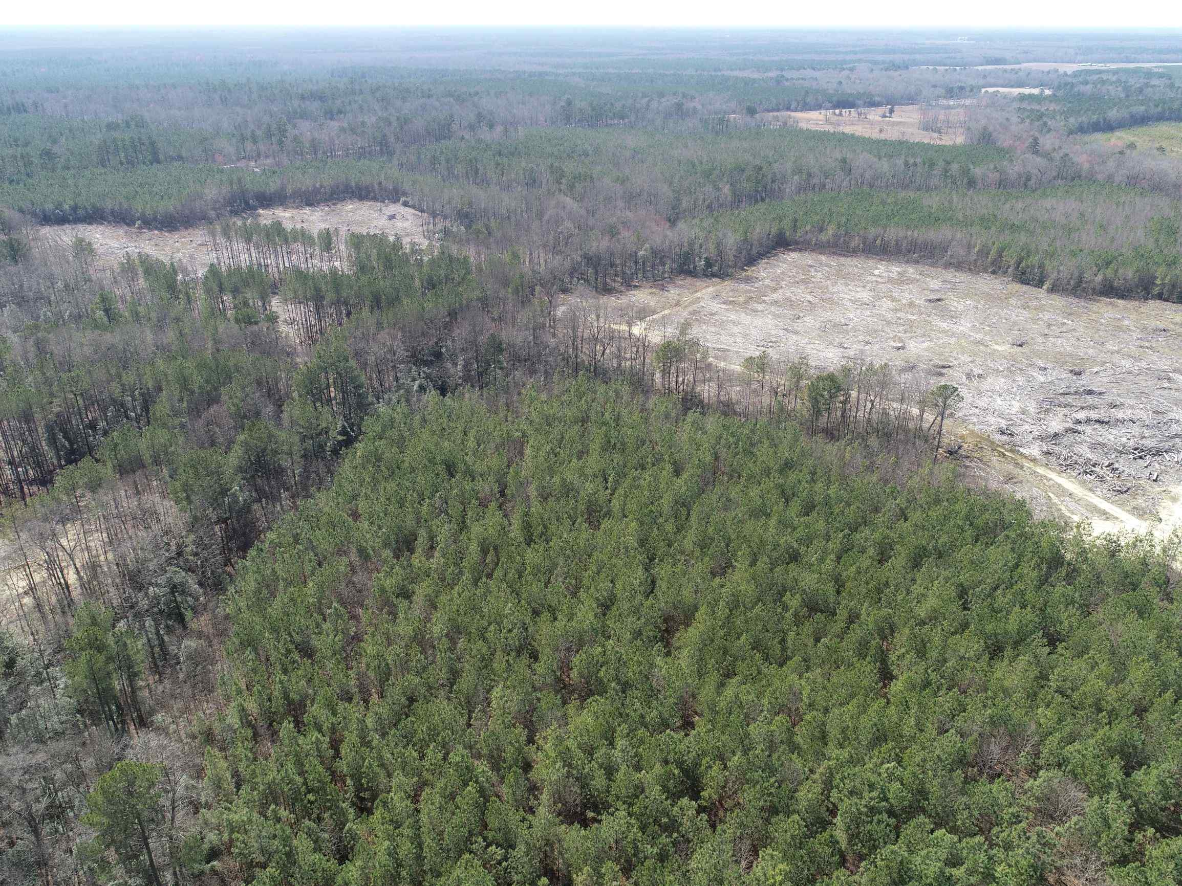 Advance Land and Timber Land for sale property_imgs/14~67.jpg