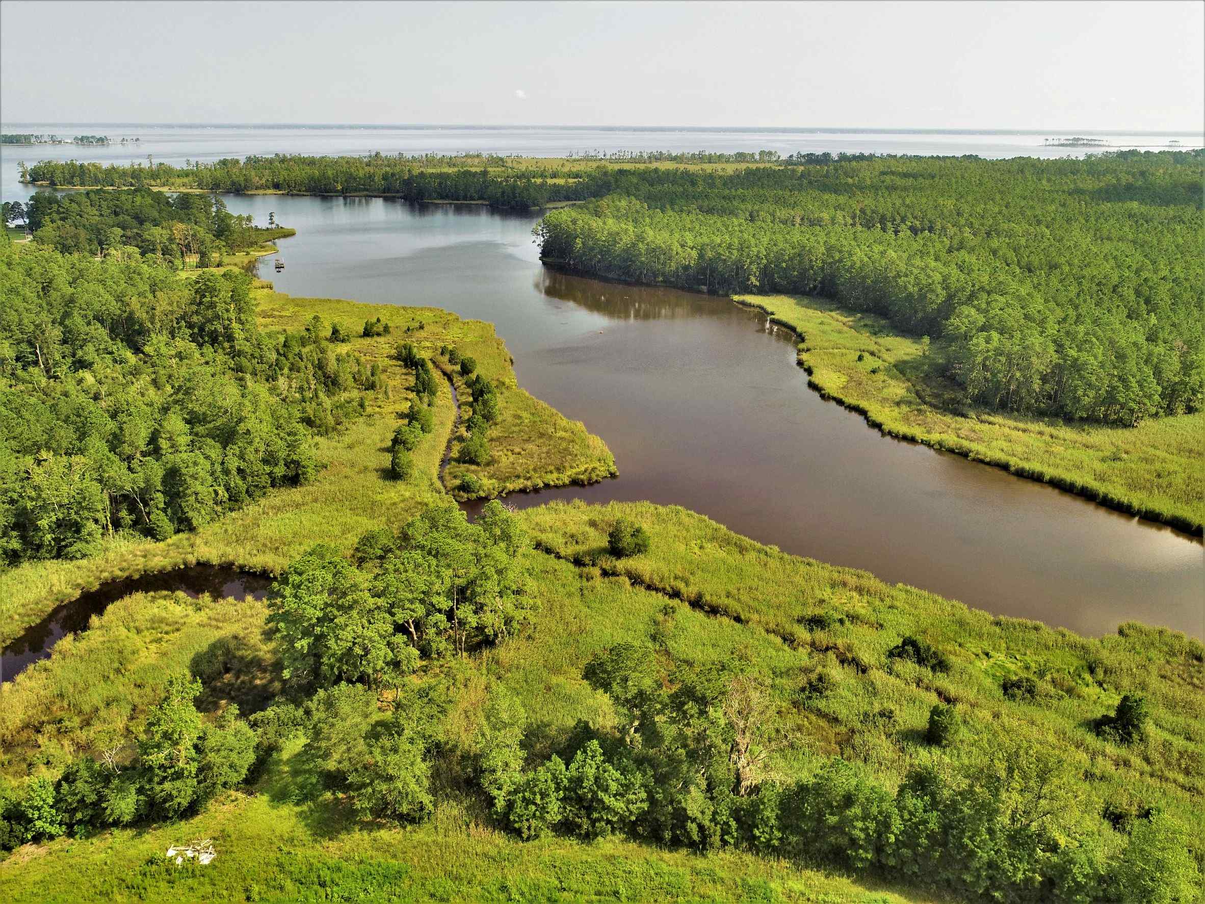 Advance Land and Timber Land for sale property_imgs/14~77.jpg