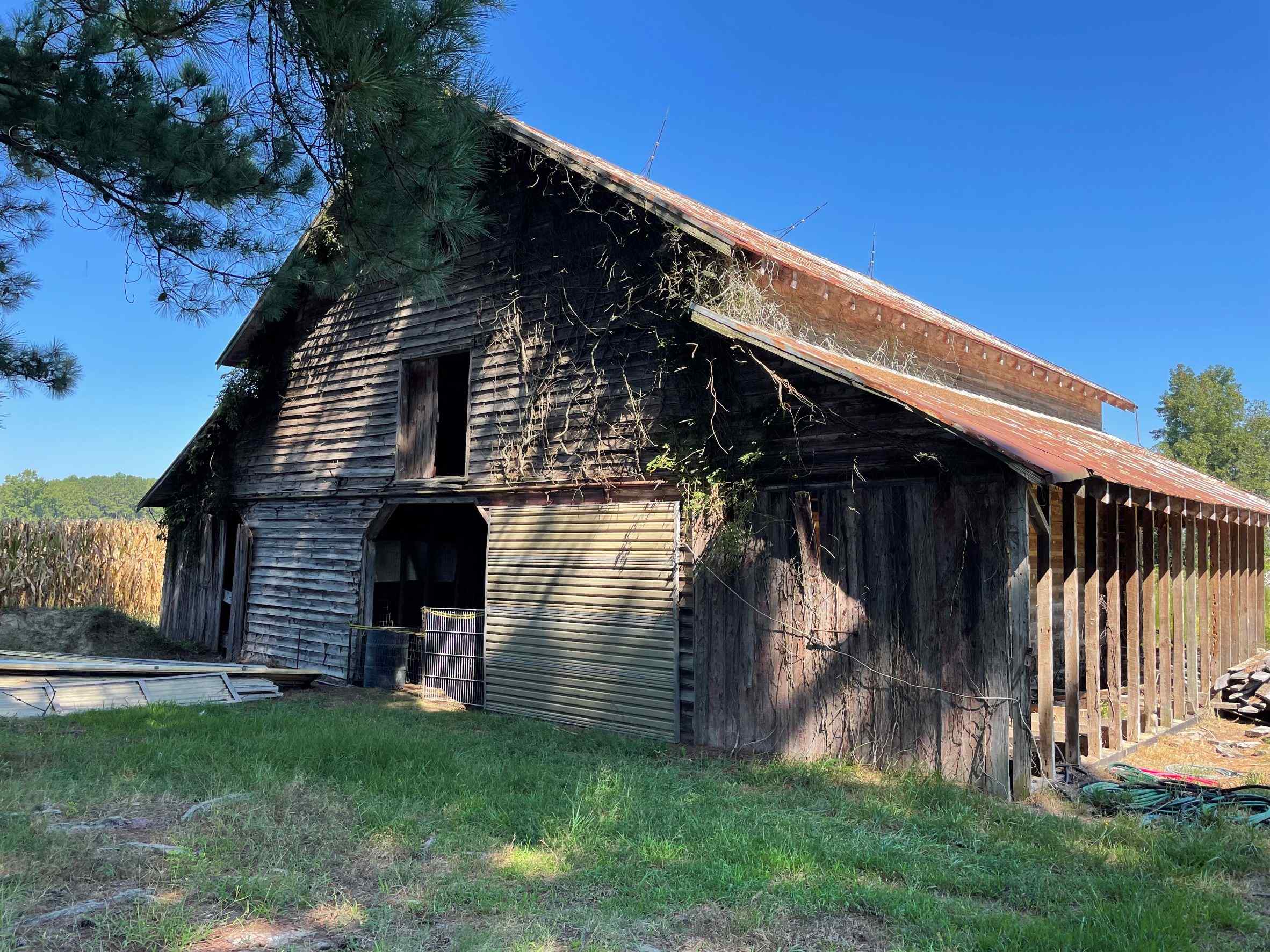 Advance Land and Timber Land for sale property_imgs/14~80.jpg