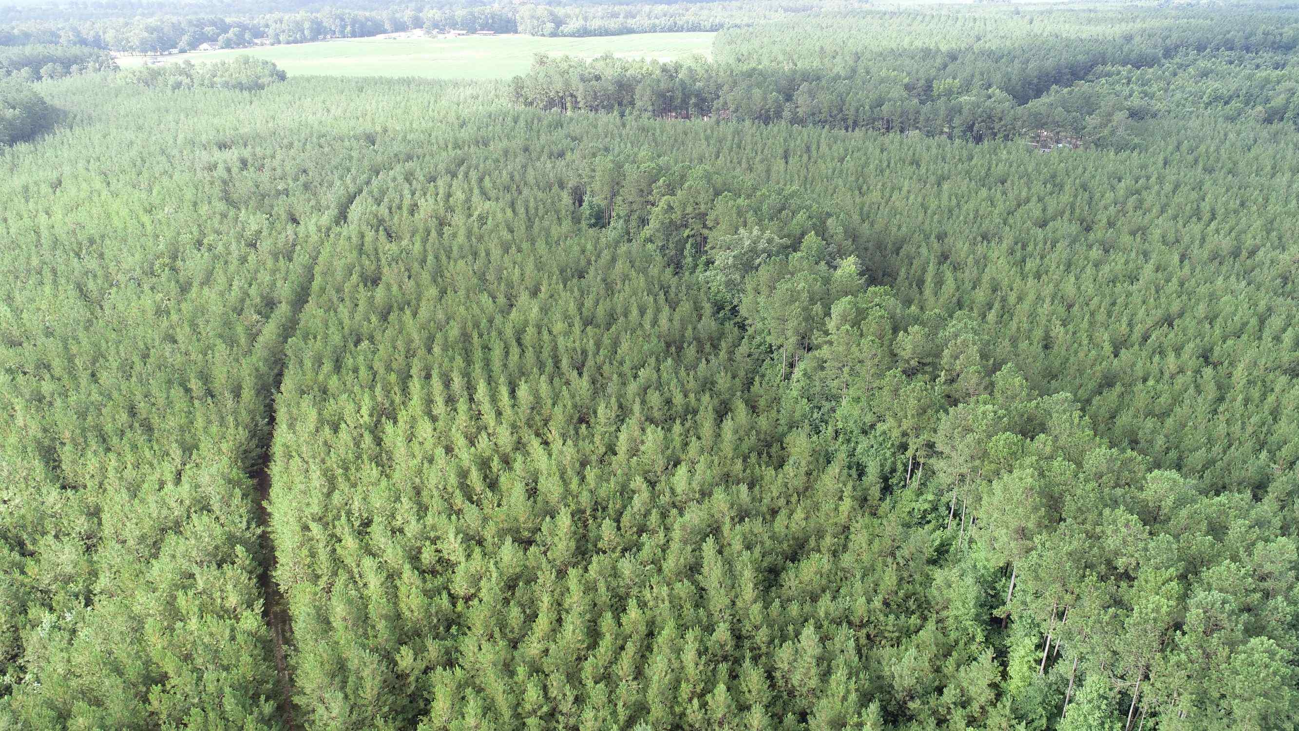 Land for sale in Sussex County, VA