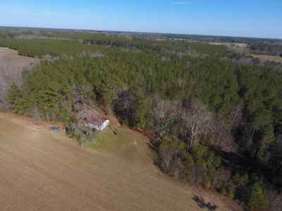 Advance Land and Timber Land for sale property_imgs/151.jpg