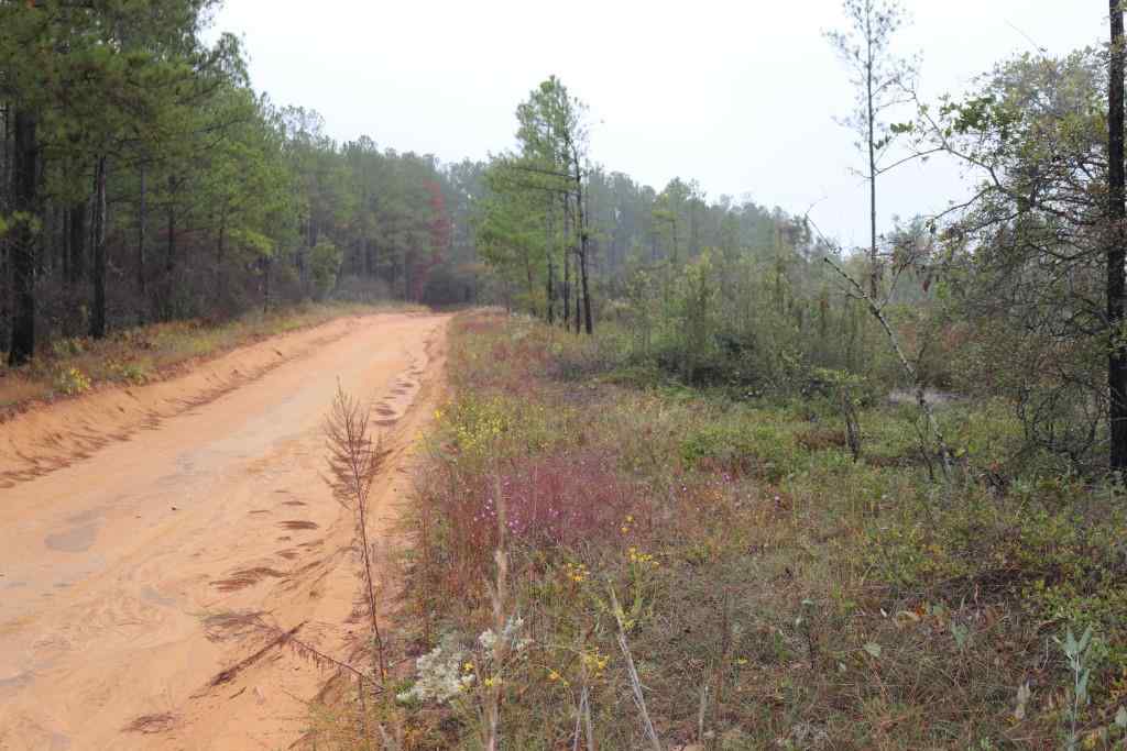 Marion County Georgia Land for Sale