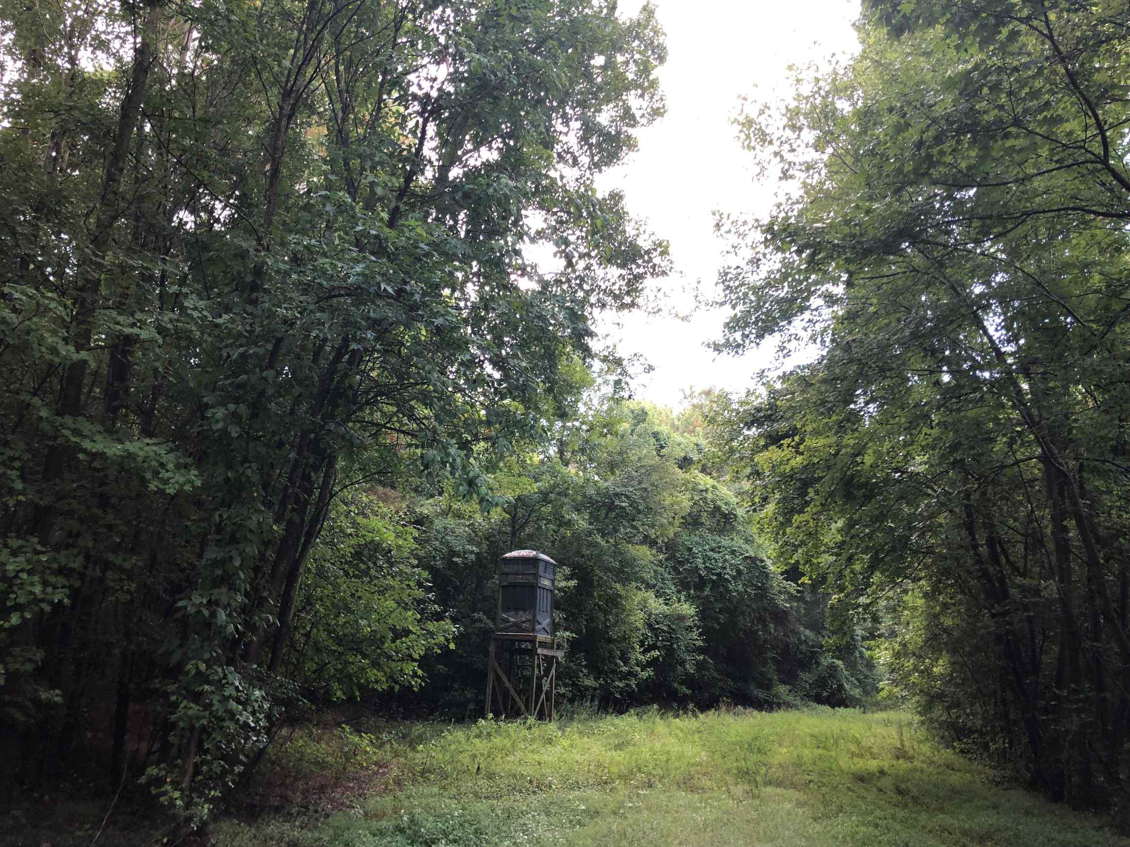 Advance Land and Timber Land for sale property_imgs/15~17.jpg