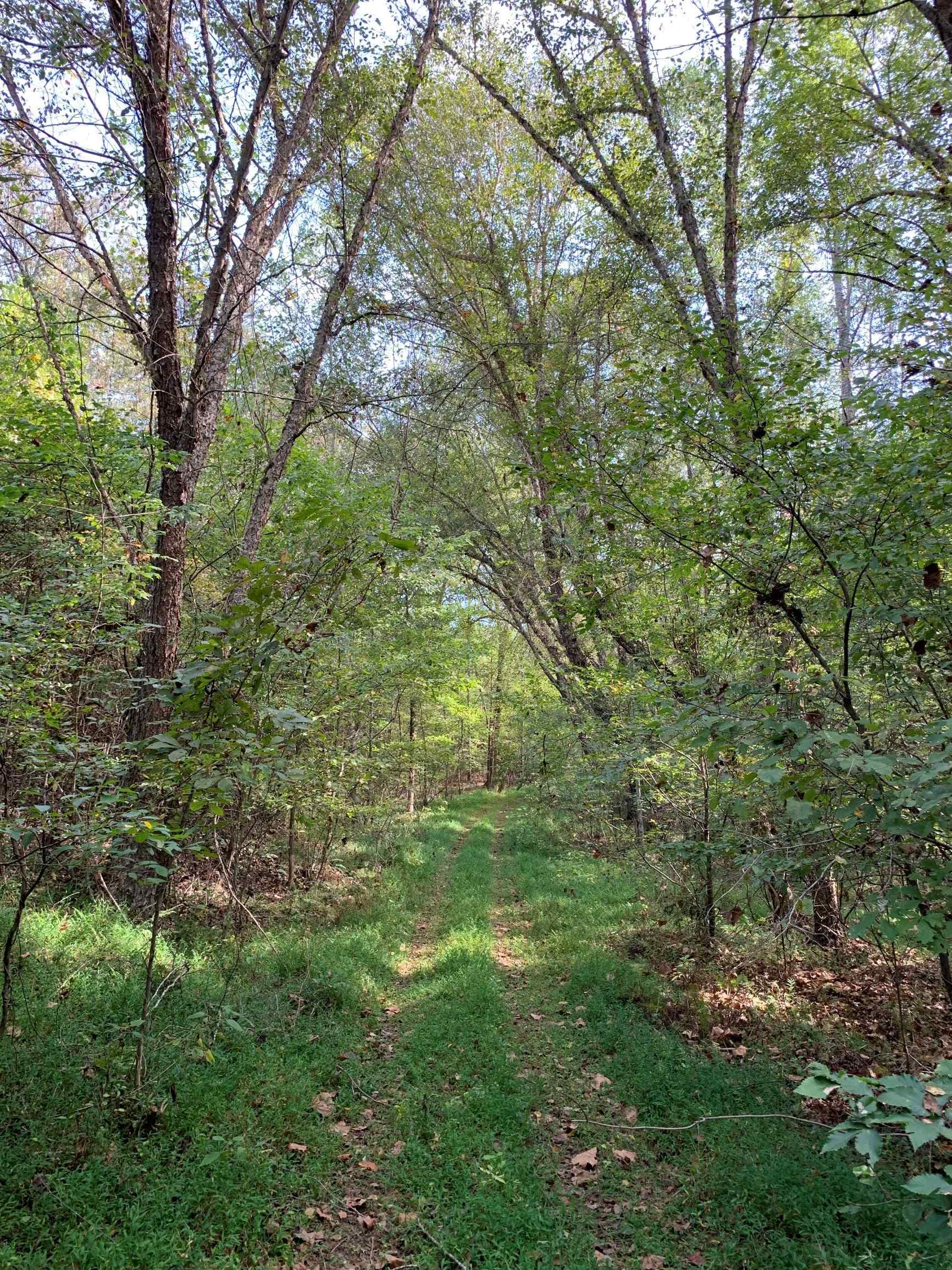 Advance Land and Timber Land for sale property_imgs/15~22.jpg