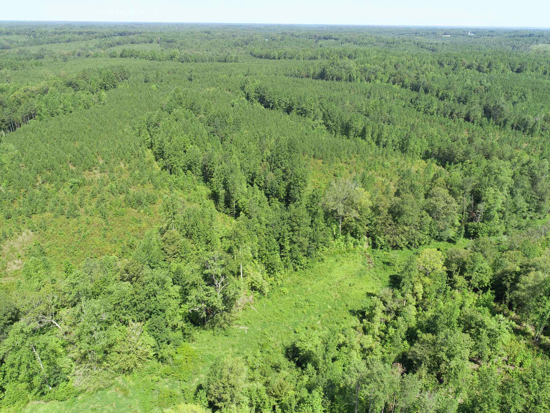 Advance Land and Timber Land for sale property_imgs/15~44.jpg