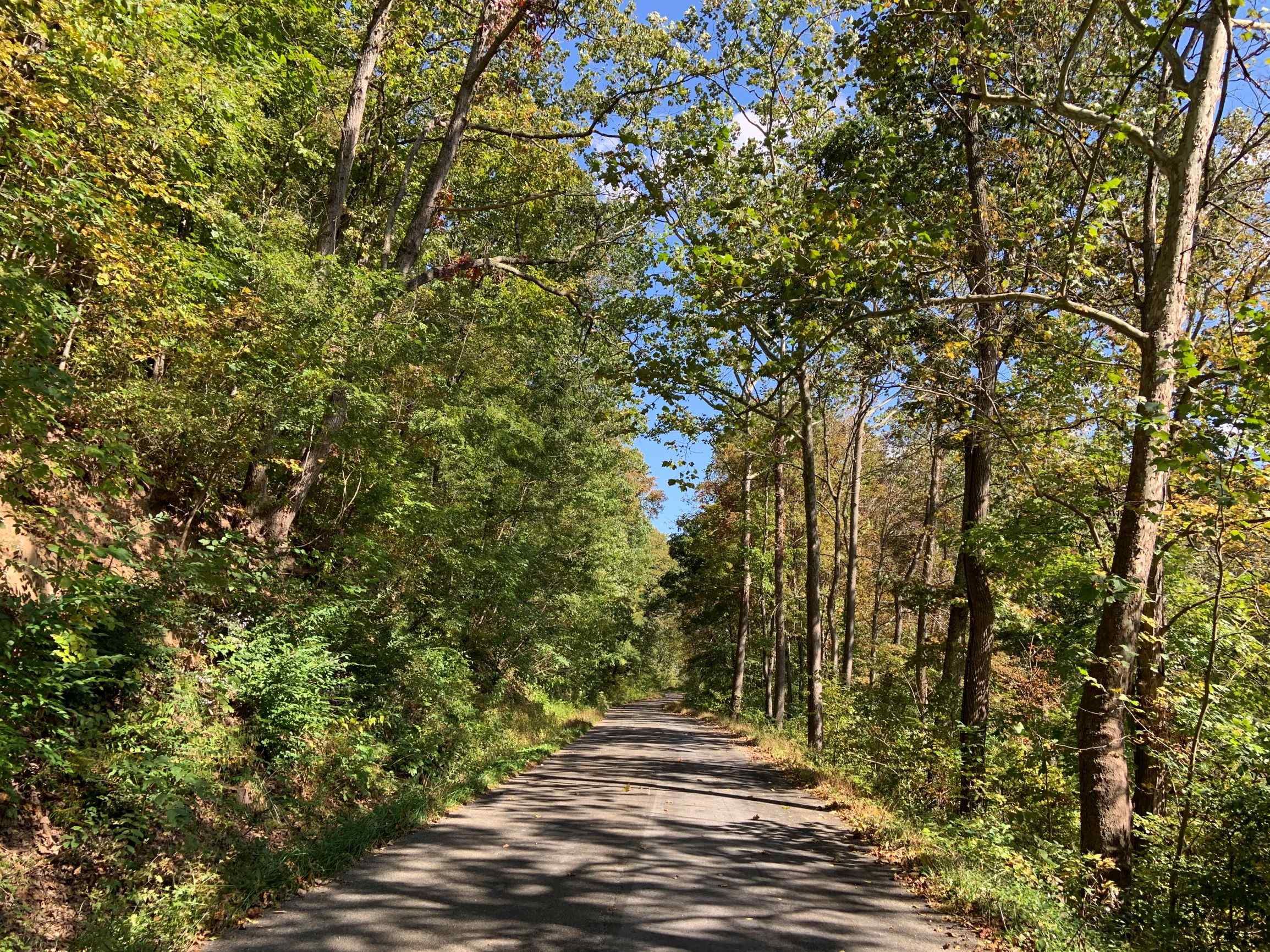 Advance Land and Timber Land for sale property_imgs/15~49.jpg