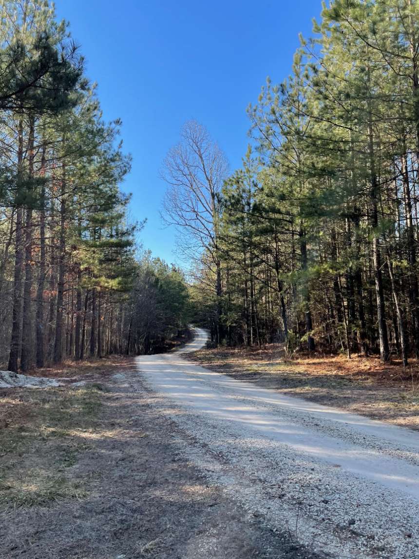 Advance Land and Timber Land for sale property_imgs/15~54.jpg