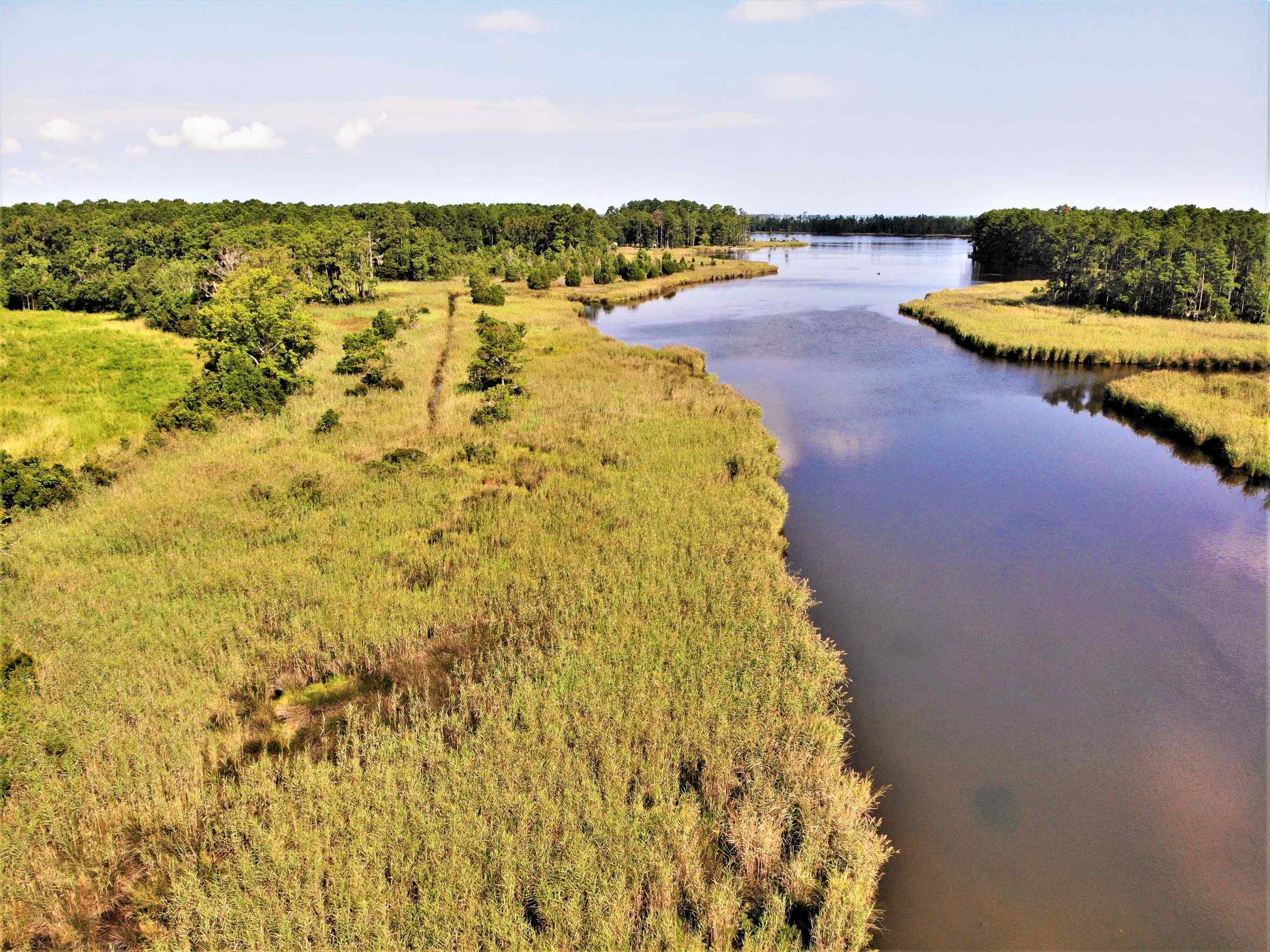 Advance Land and Timber Land for sale property_imgs/15~66.jpg