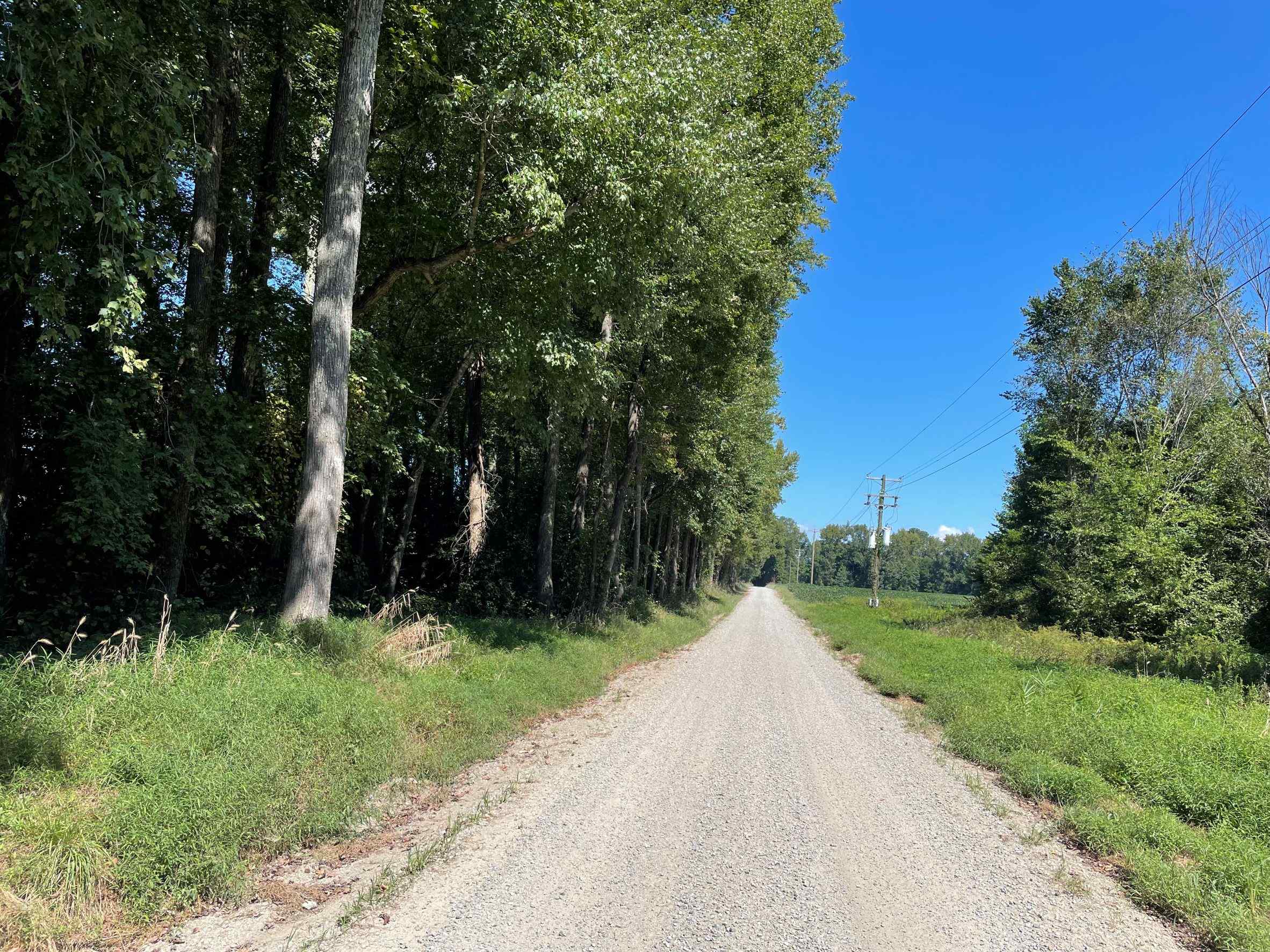 Advance Land and Timber Land for sale property_imgs/15~69.jpg