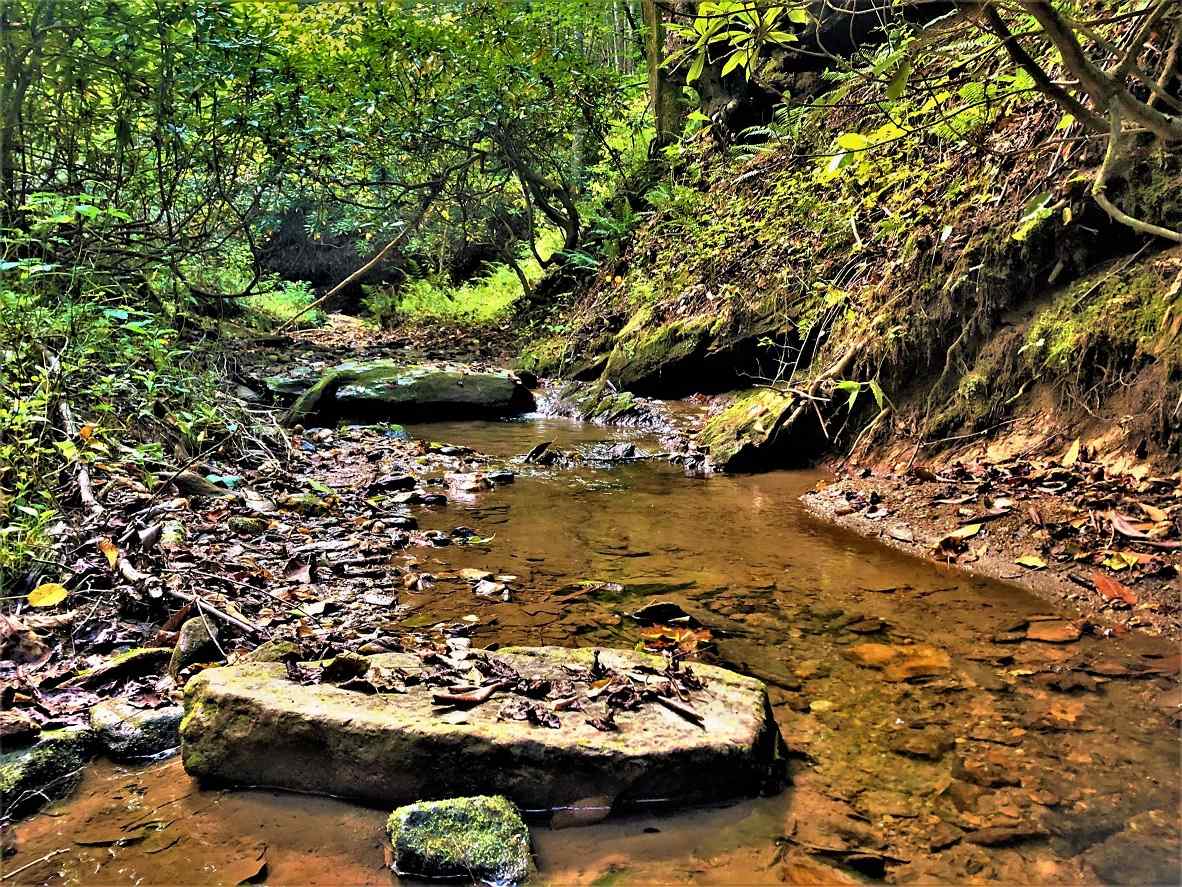 Advance Land and Timber Land for sale property_imgs/15~71.jpg