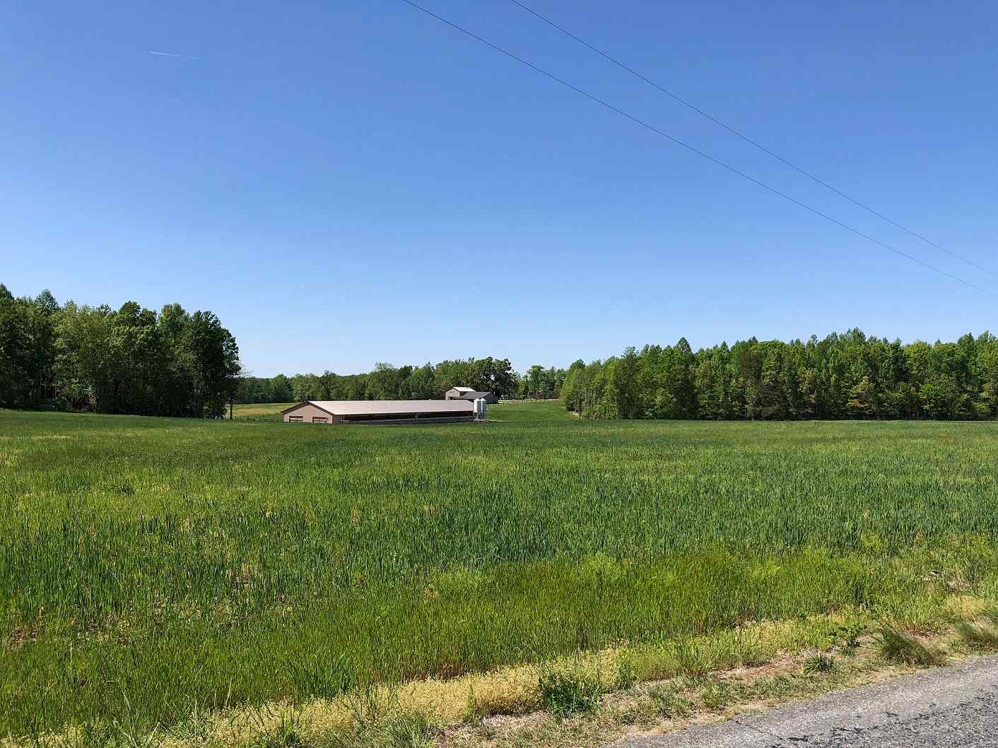 Advance Land and Timber Land for sale property_imgs/15~76.jpg