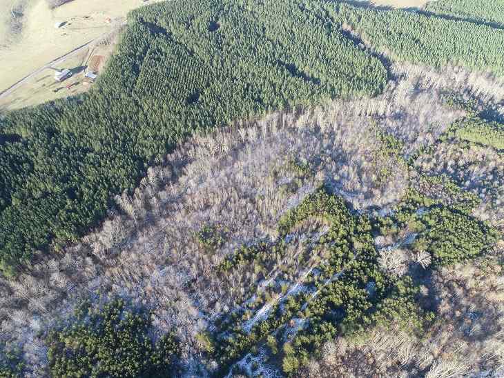 Advance Land and Timber Land for sale property_imgs/15~78.jpg