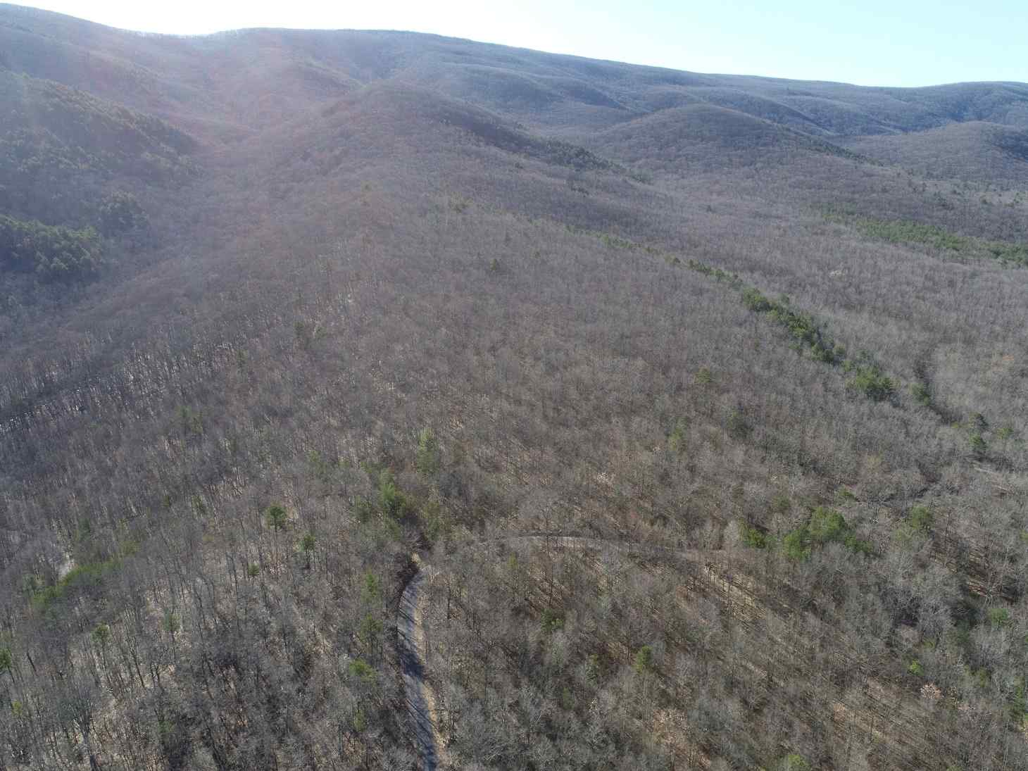 Advance Land and Timber Land for sale property_imgs/15~81.jpg