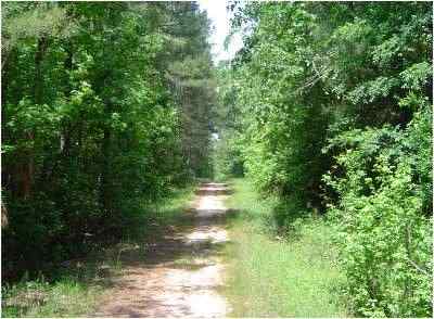 Advance Land and Timber Land for sale property_imgs/161_3.jpg