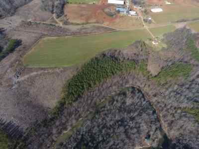 Advance Land and Timber Land for sale property_imgs/169.jpg